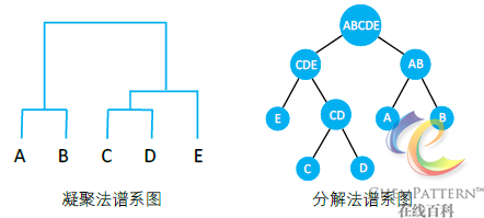 图12-23 谱系聚类方法